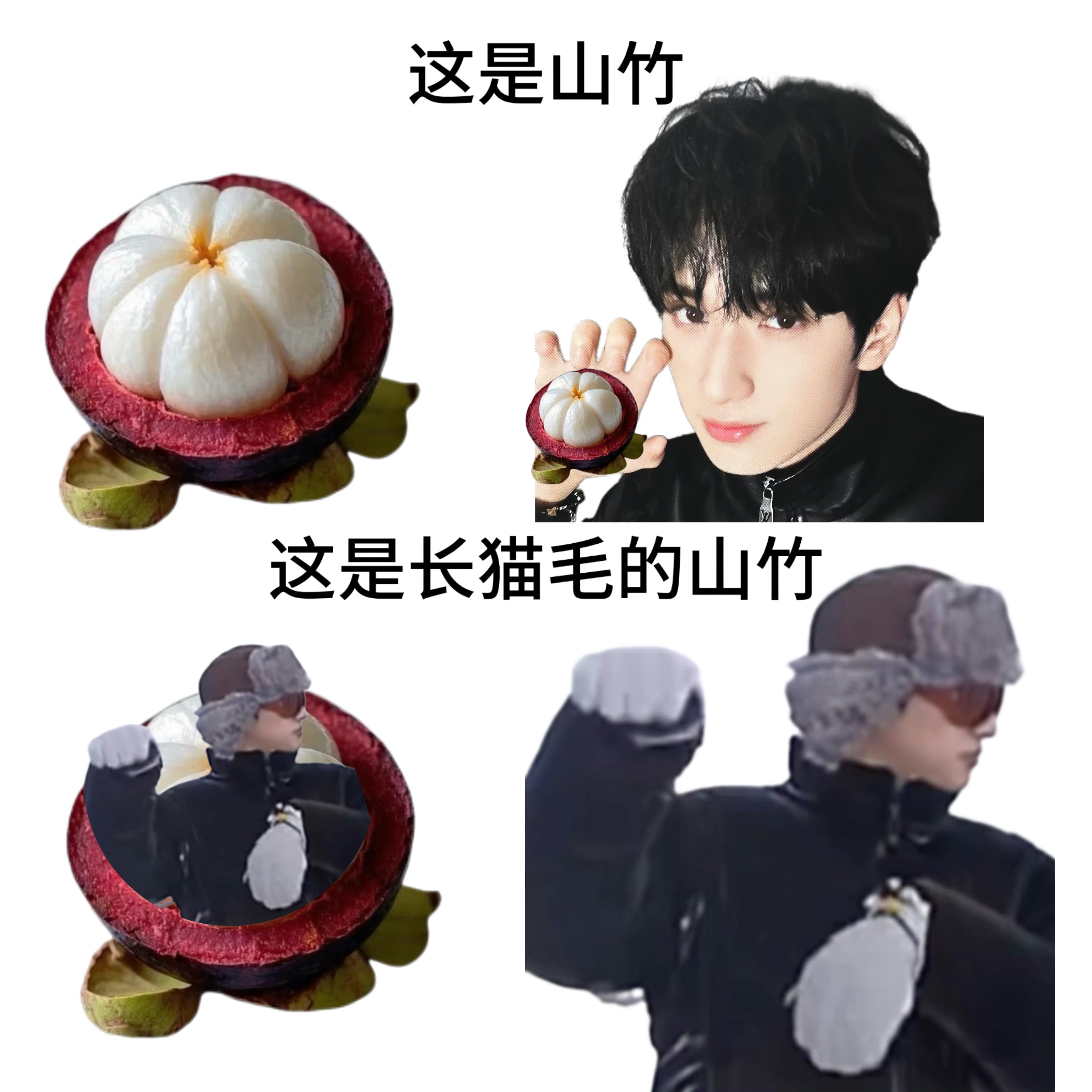 猫咪大王说得对 