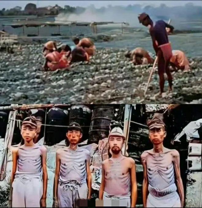 1945 年，日本军队被苏联红军俘获后押送至寒冷的西伯利亚。据后来幸存的日军战俘