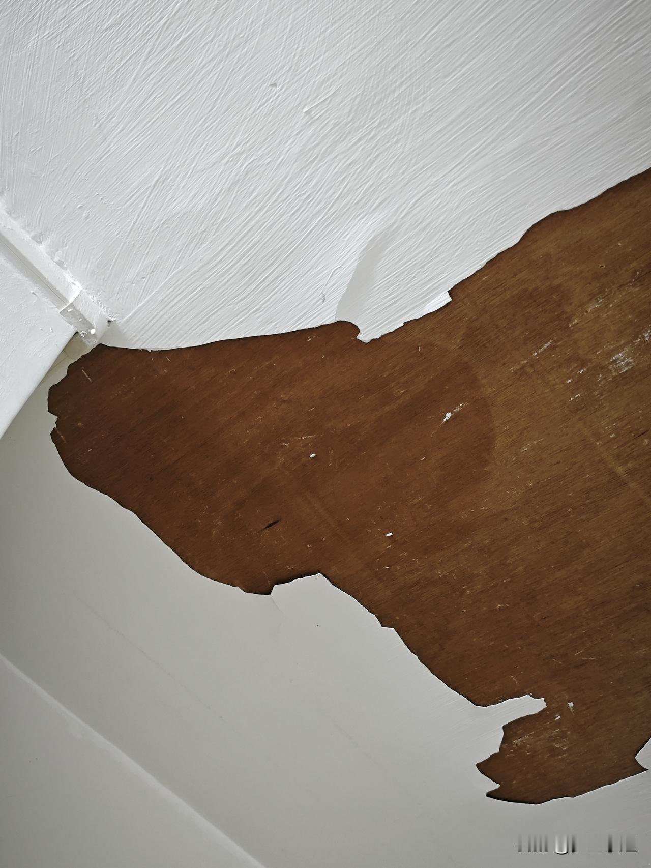 只能忍一忍了，灰掉了就勤扫地了，没办法租房子的生活，两房一厅1380块钱一个月，