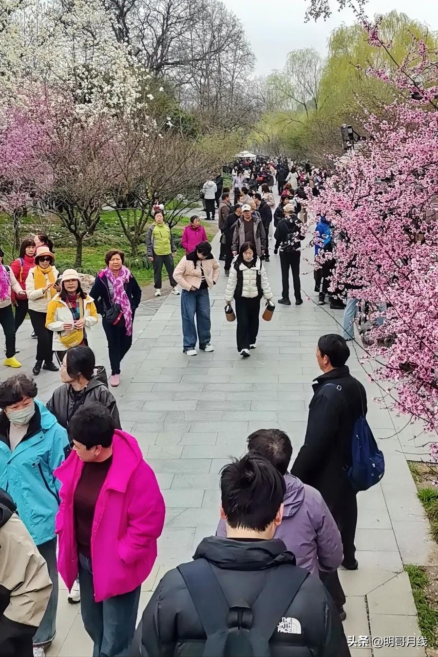 孤单老人的困惑（十六）

赵大哥三年前病逝了，留下了和自己在一起生活了二十三年的