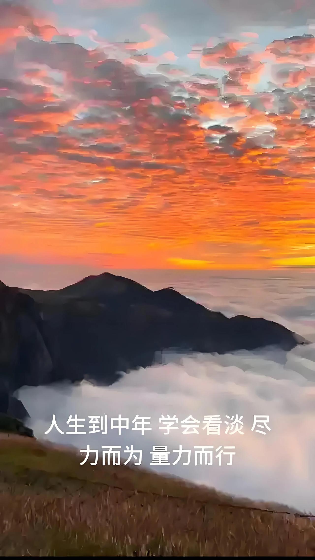 人生，说到底是一场关于接纳、沉淀与放手的修行。而放手，是褪去执念的枷锁，卸下过往