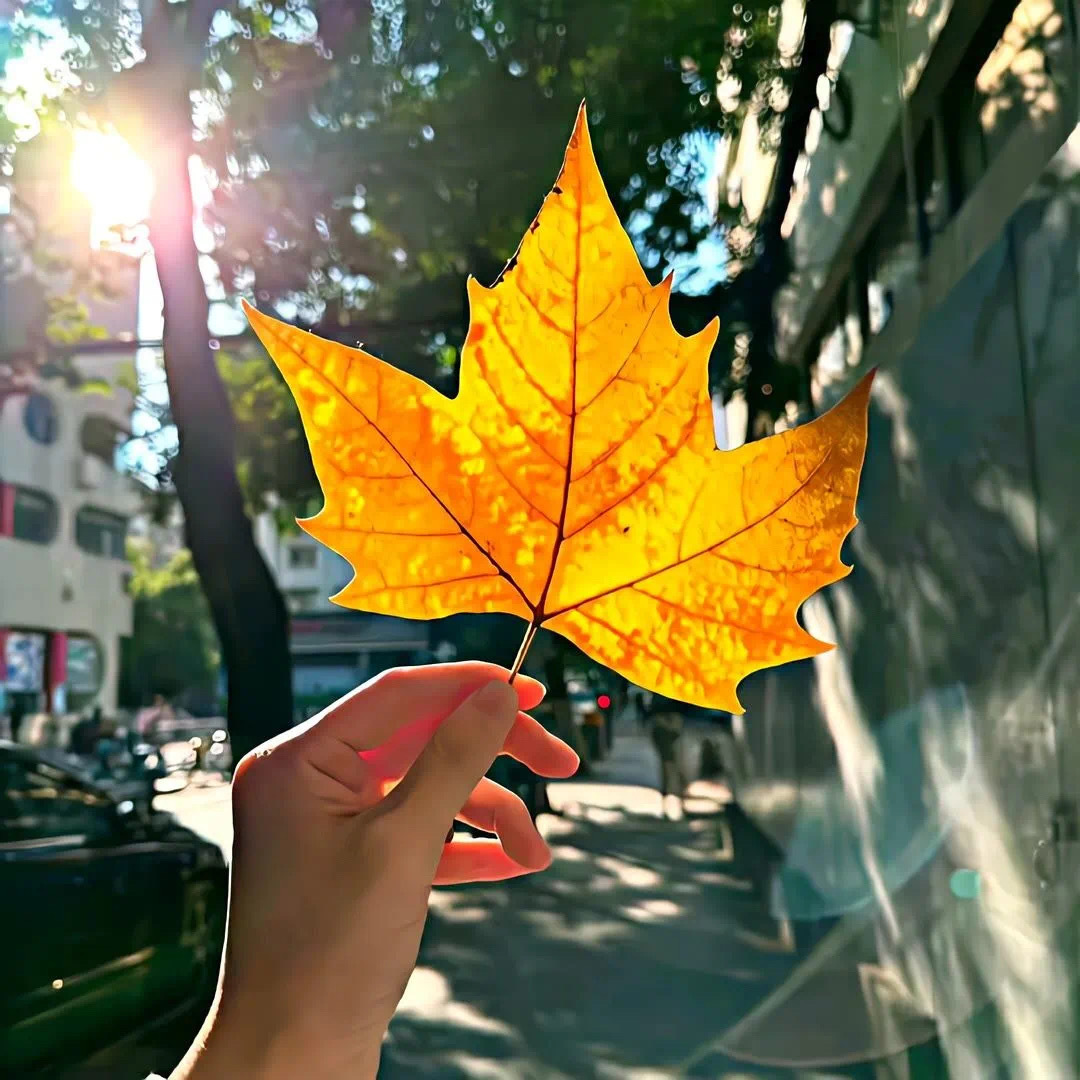 𝙇𝙤𝙫𝙚 𝙇𝙞𝙛𝙚风吹哪页读哪页 哪页难读撕哪页  ​​​
