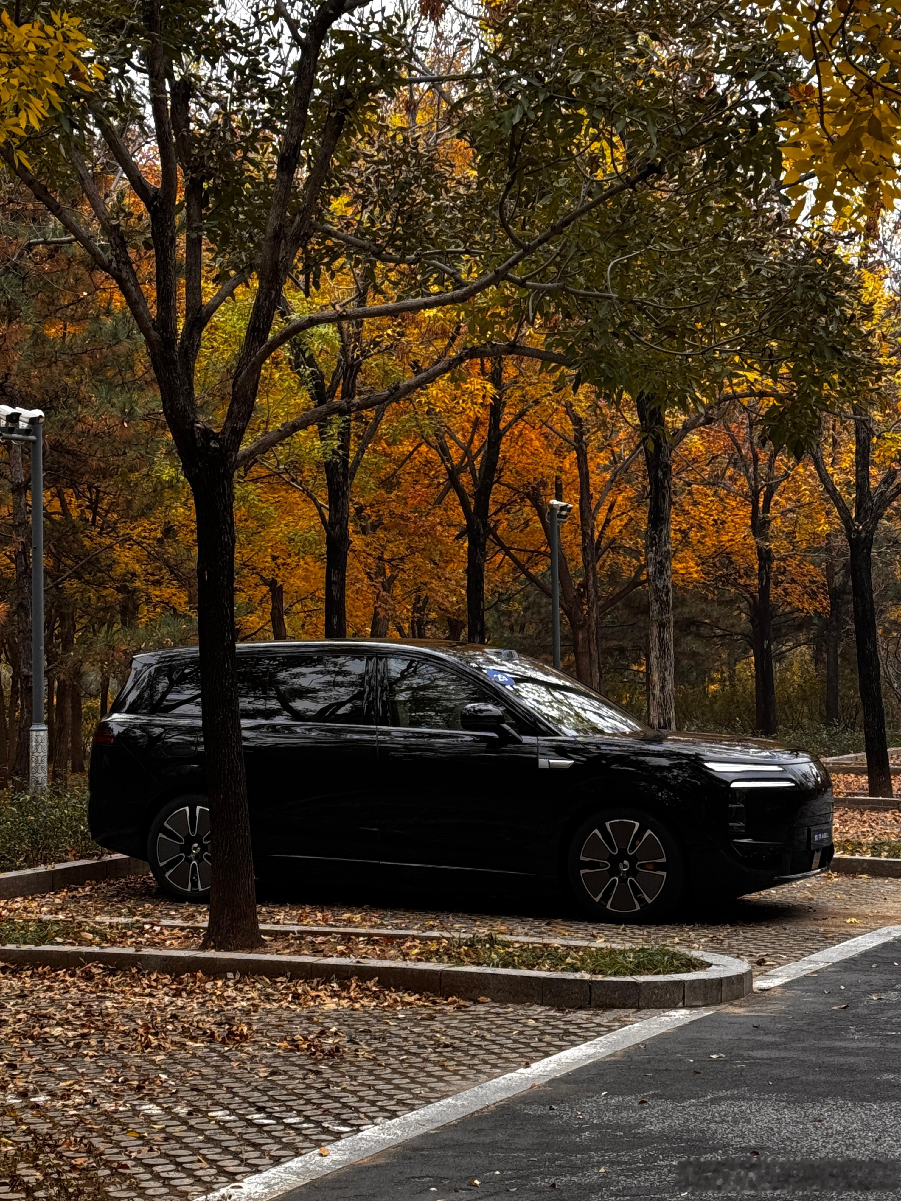 N8L 虽然比N9 小了点，配置是不少的。特别是云辇A，确实有点东西。过弯稳而不