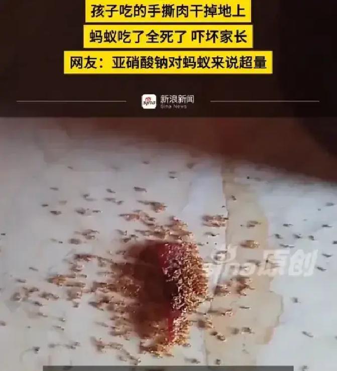太揪心了！海南，孩子在家吃零食时不慎掉落一小块肉干在地上，家长未及时清理，没想到
