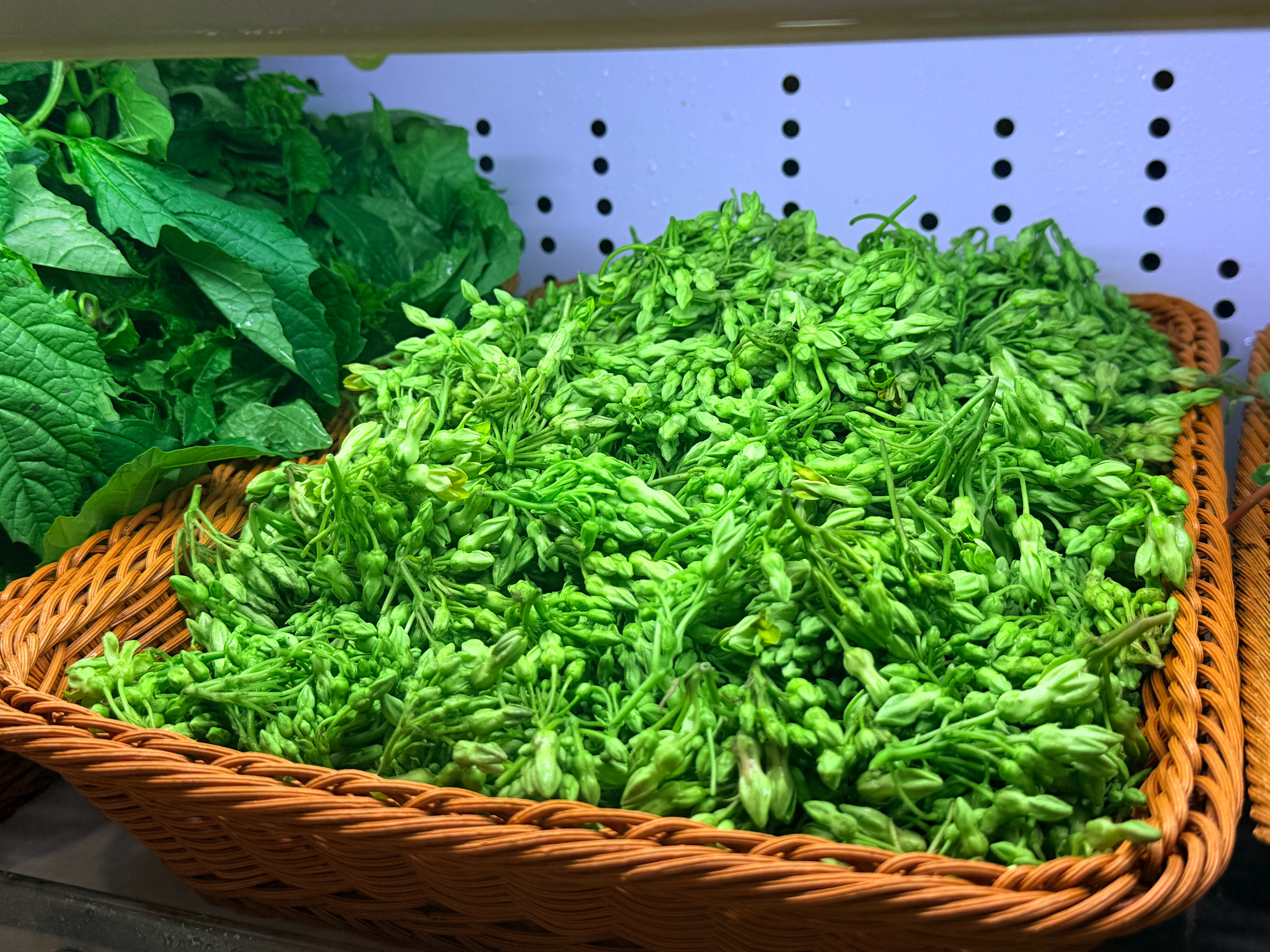 今天中午吃了一家野菜火锅！感觉不是在云南根本吃不到这样的！菜太多啦……第一次吃到