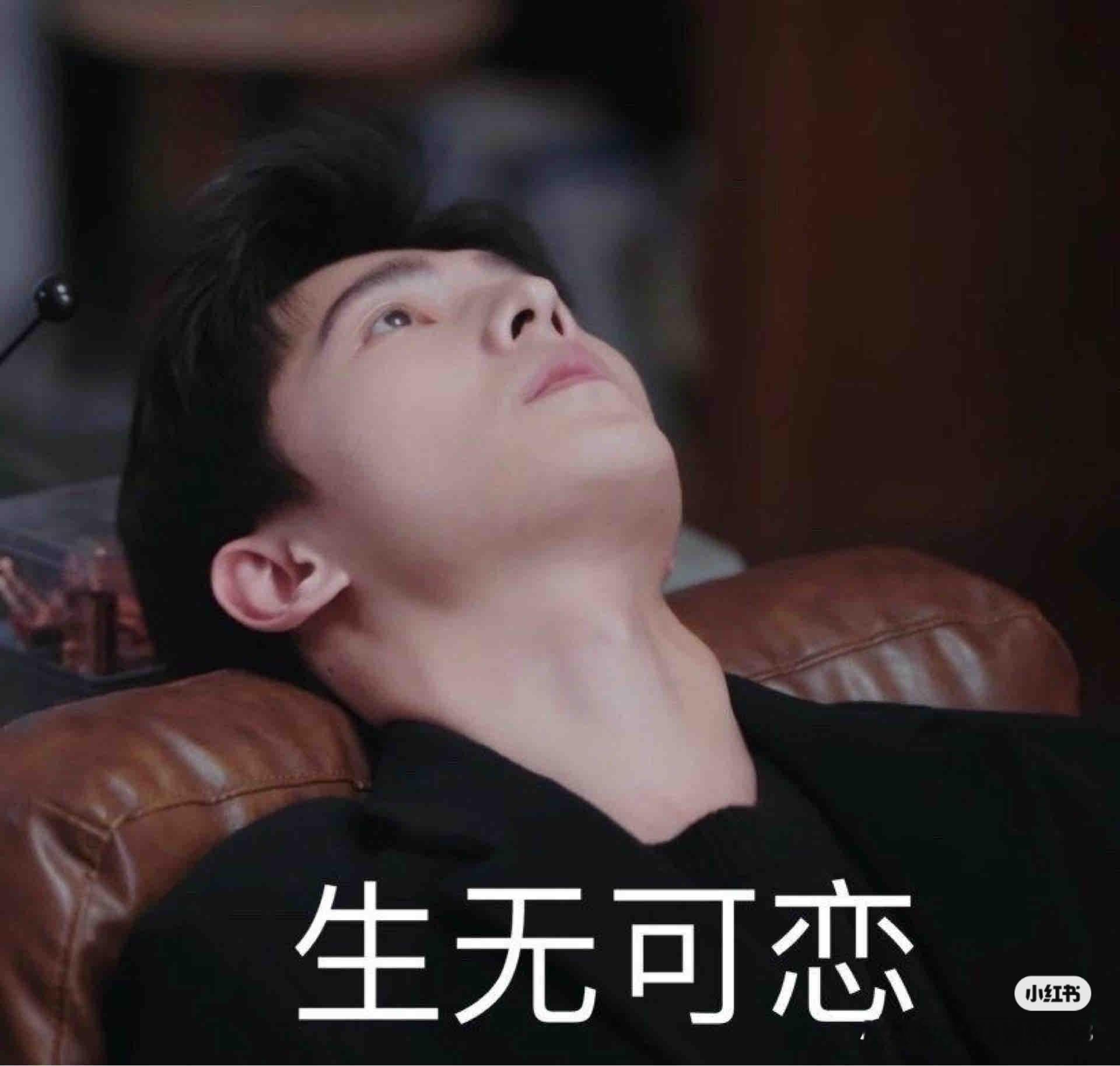 杨洋我主页现在搜索杨洋是多少条，为啥我看不到数量，还是现在搜索方式变了我感觉我已