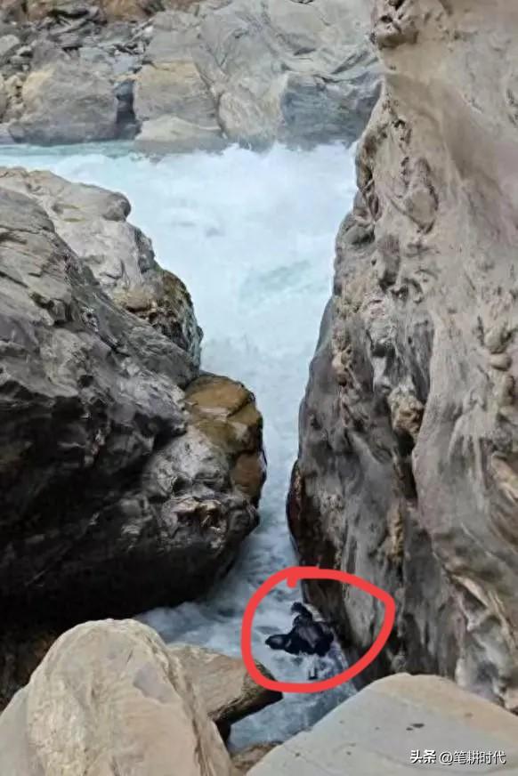 29岁美术老师婚前旅行成永别！虎跳峡遇难34天，遗体明明肉眼可见，没人敢打捞，强