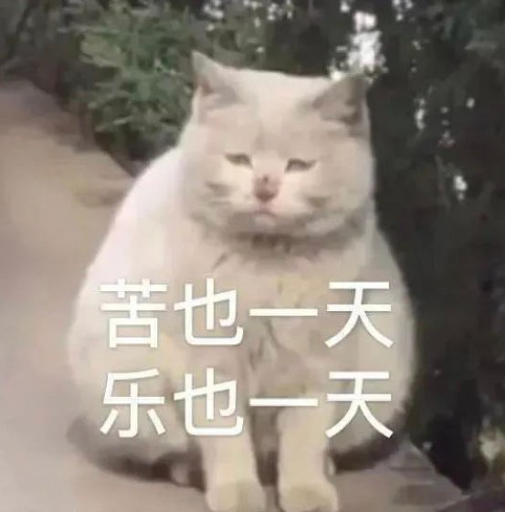 这届年轻人专治没苦硬吃这届年轻人把享受生活玩明白了 谁夸这届年轻人！享受生活玩透
