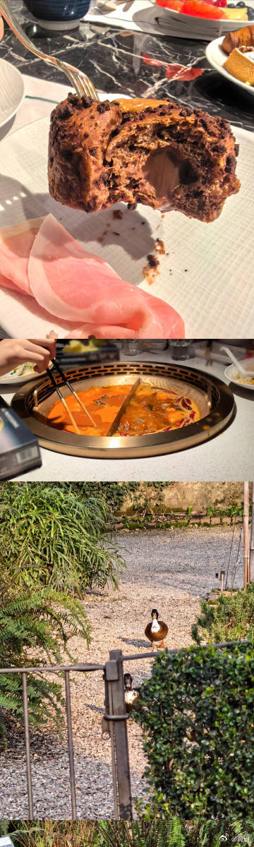 张泽禹一袋梨的plog来啦张泽禹一袋梨的plog张泽禹的plog来啦 宝宝拍照真