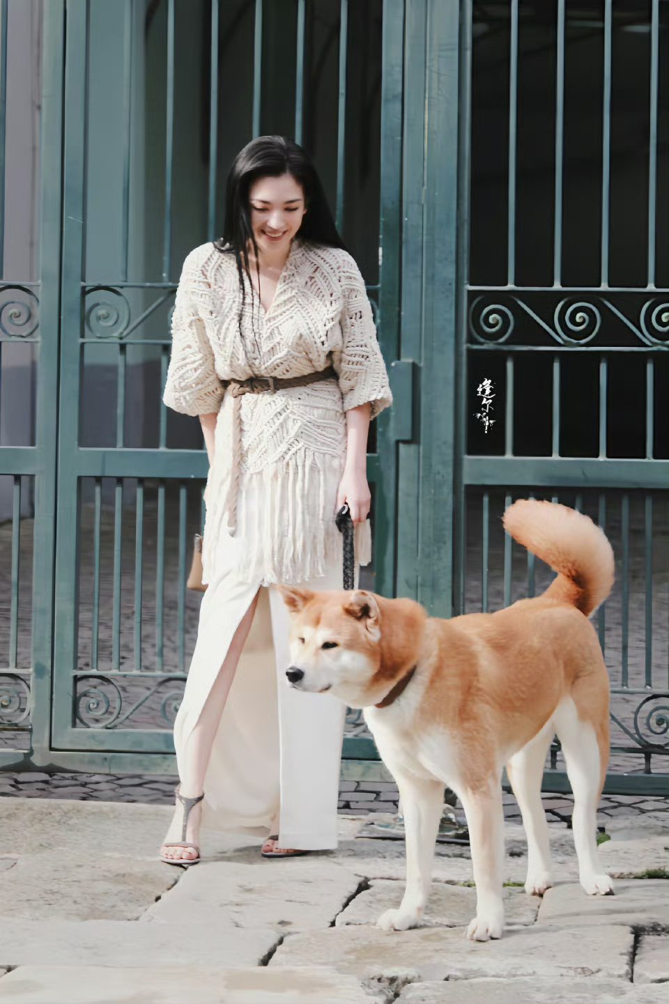 代露娃代露娃代露娃