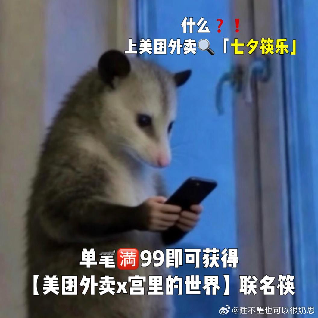 筷子两根一起才能夹菜，这不就像过日子嘛，一个人再厉害也撑不起一个家。美团外卖×宫
