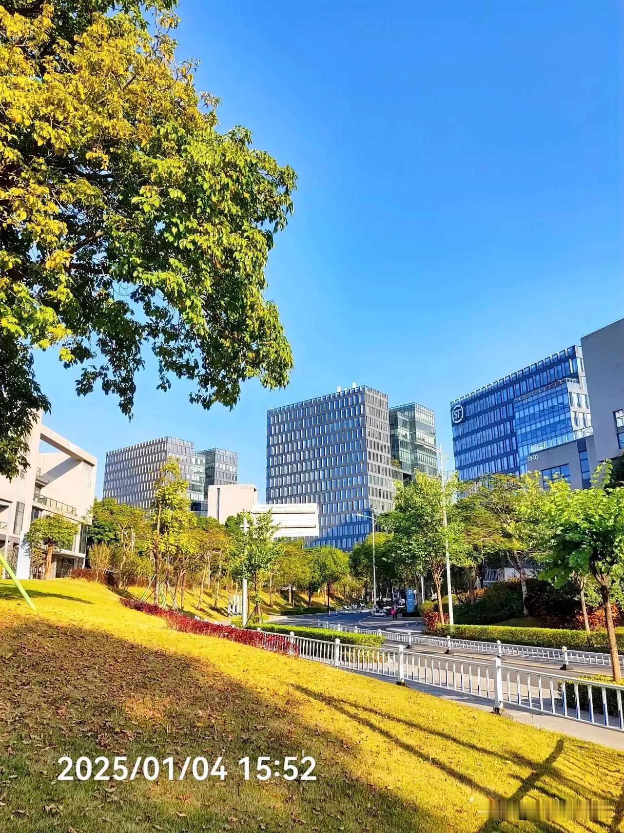 高楼林立，绿树成荫。


冬日暖阳里，散步东莞松山湖中集智谷科技园区随拍。

（