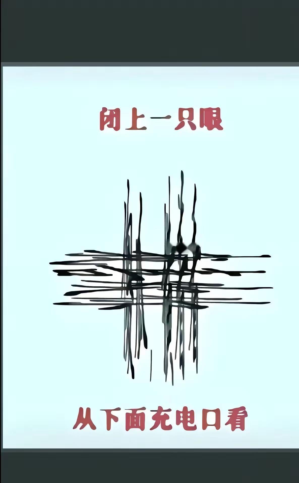 奇怪的知识点又增加了 闭上一只眼睛从充电口看的图 有趣的知识又增长了 让你意想不
