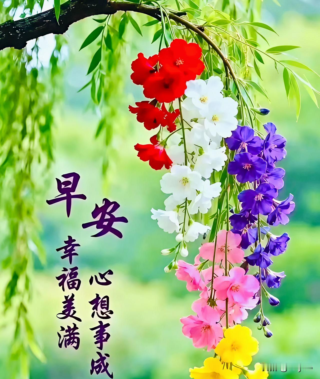 晨起浅笑，暮守清宁;
朝朝顺意，岁岁安然。
日子温柔，好运常伴;
愿世间美好，如