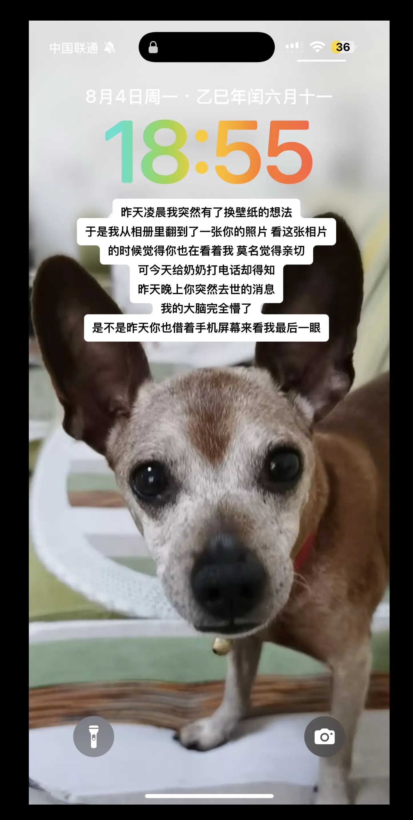 小点点我好想你 我还没去见你呢你怎么就走了
