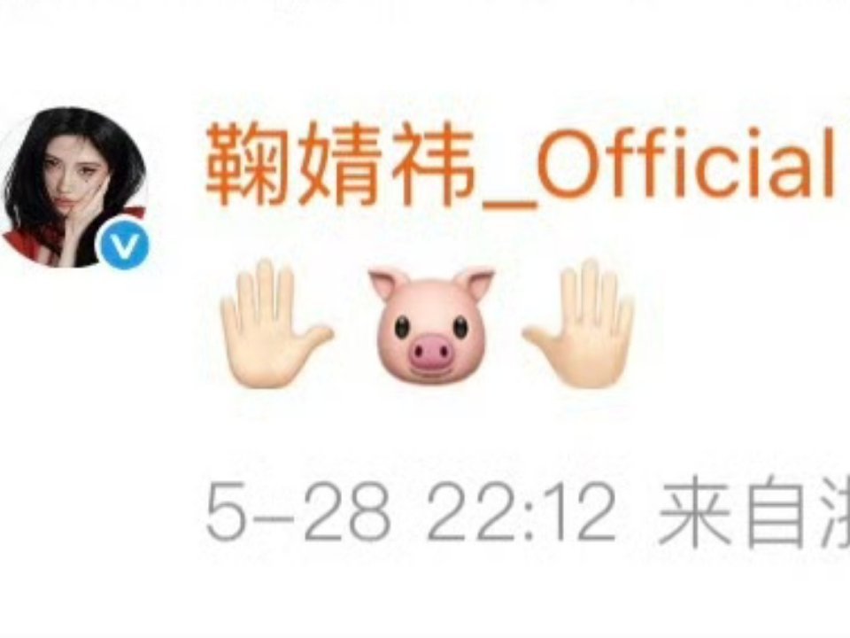 今天是炸毛小猪 