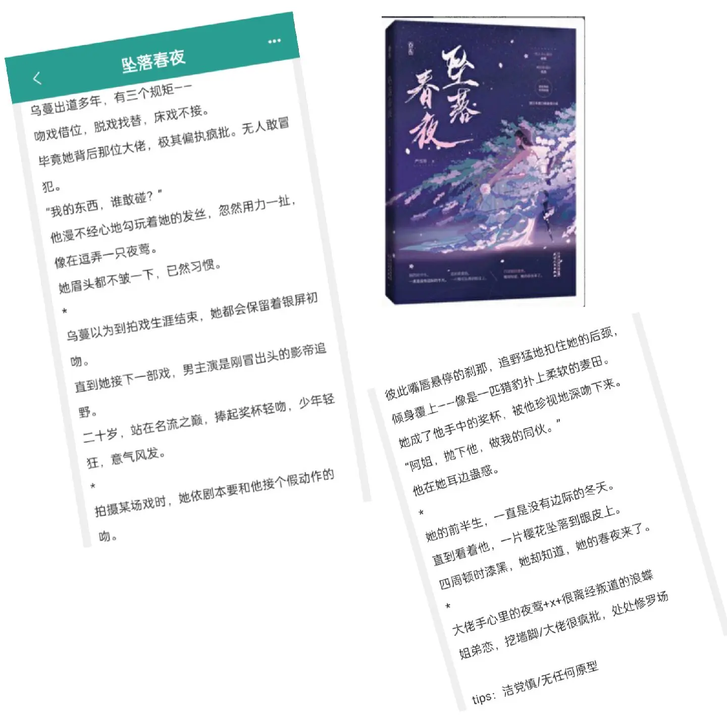 小说 现言 女明星 姐弟恋 已完结
