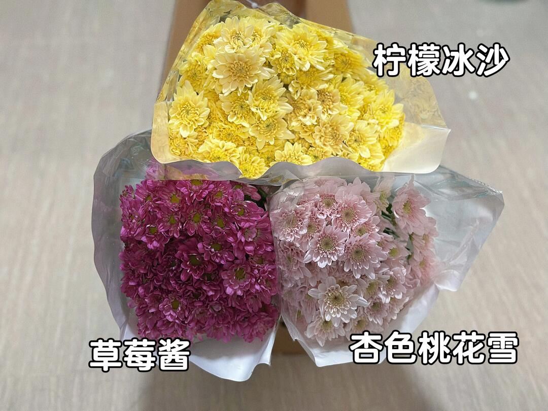 感谢花卉自选小菊🌼开箱