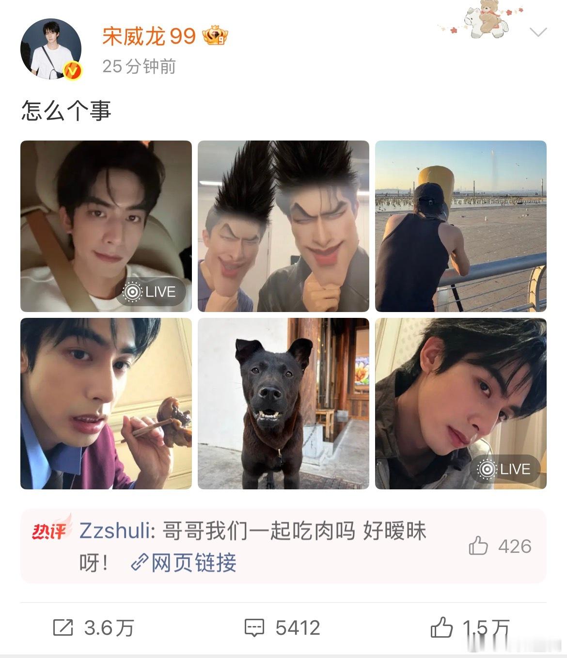 宋威龙很碎的碎片照宋威龙给小狗拍了证件照看多了精致大片，宋威龙这种随性碎片照反而