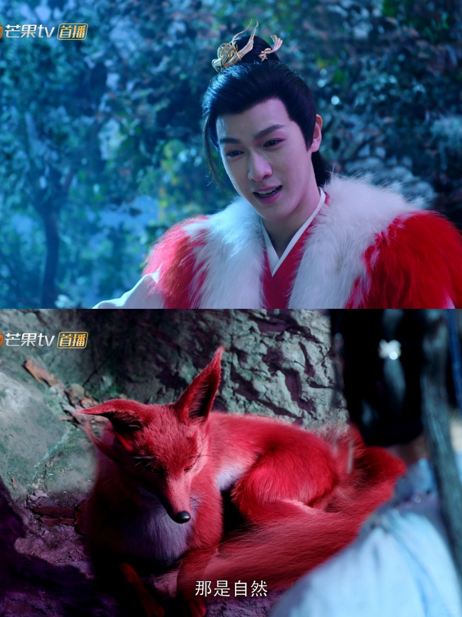 猿辅导这的狐狸照型满分