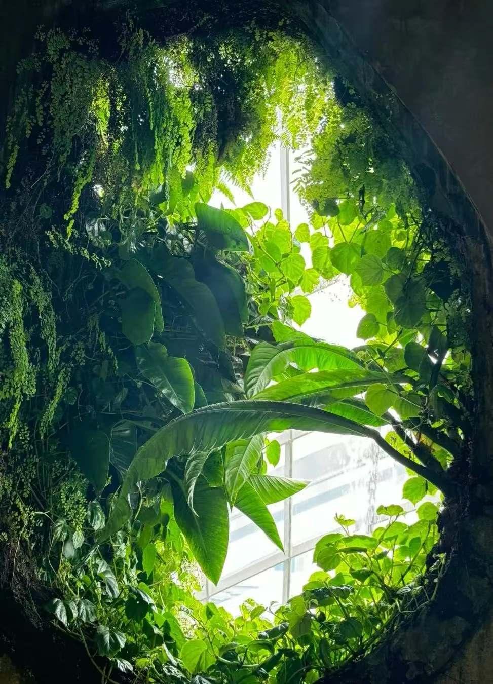 我发现今年冬天着实与众不同！
从气候层面来看，整体气温偏暖且波动幅度剧烈。一旦强