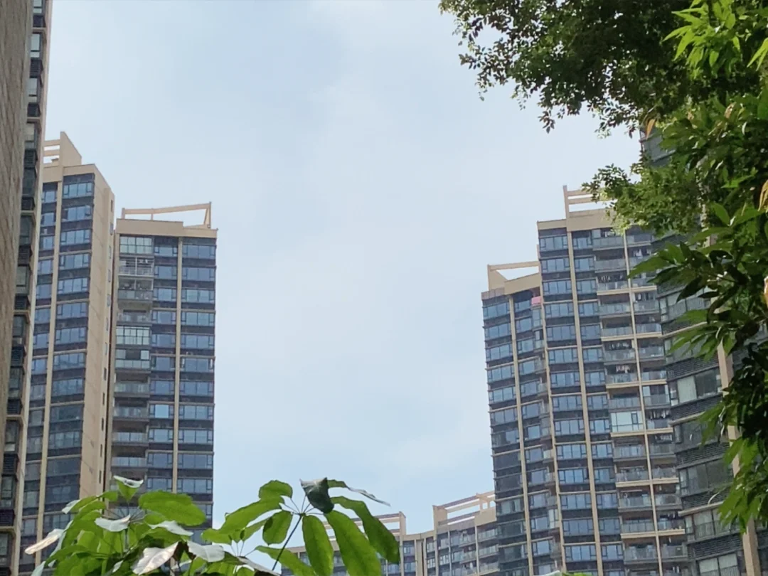 蓝蓝的天，绿绿的树，高高的楼～