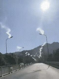 太热了，
连路边的灯都在抗议了。
