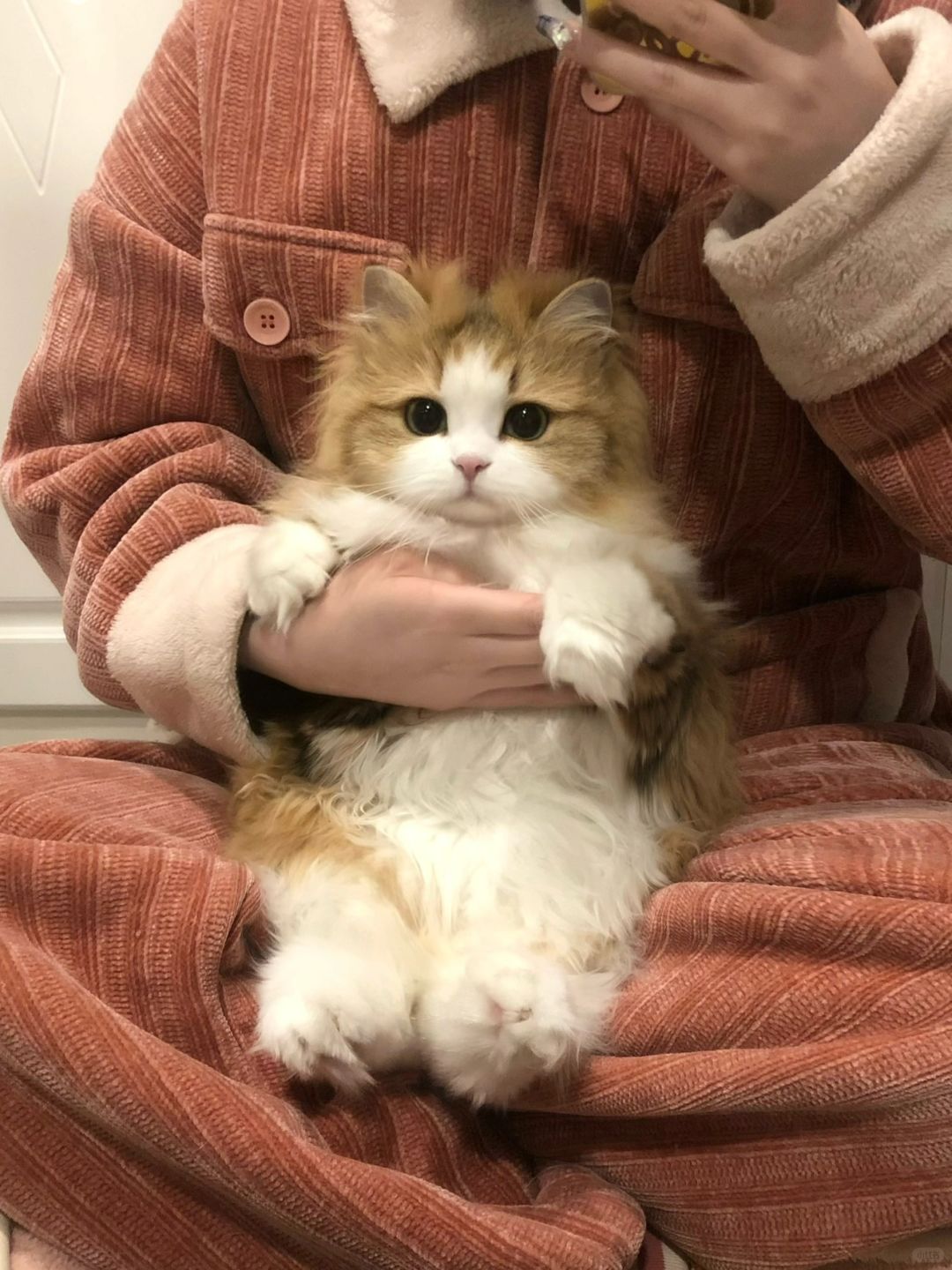 不愿撒手 真的太好抱了！