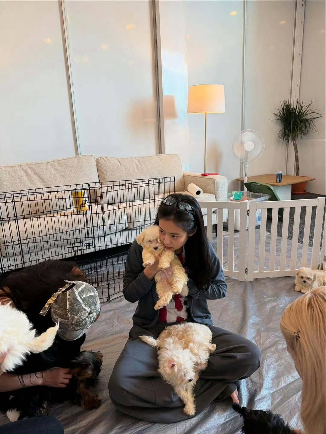 Jennie打码朴彩英 金珍妮想发什么就发什么自己的账号 望周知[偷笑][偷笑]
