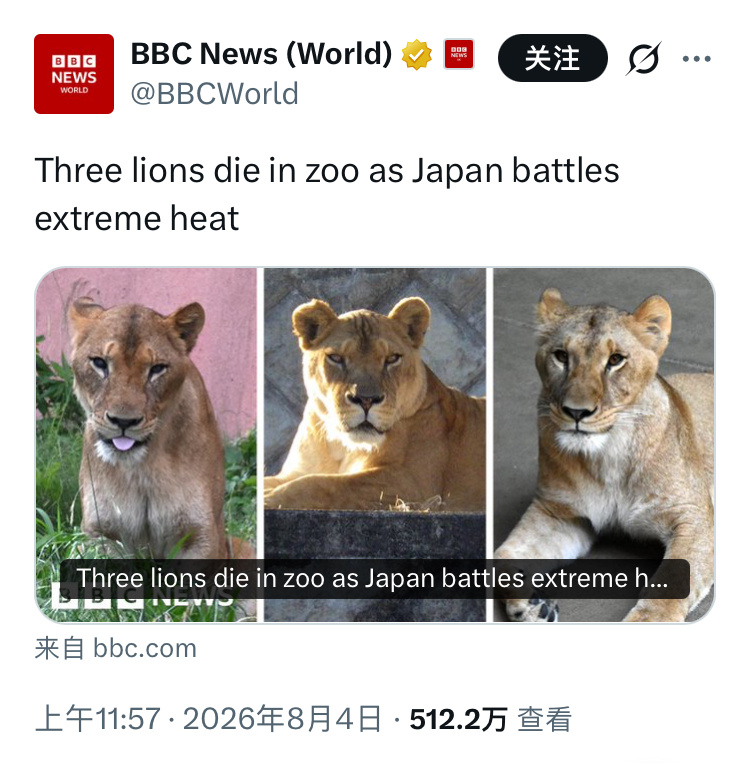 BBC报道：三狮热毙于动物园。恐非吉兆啊图司令
