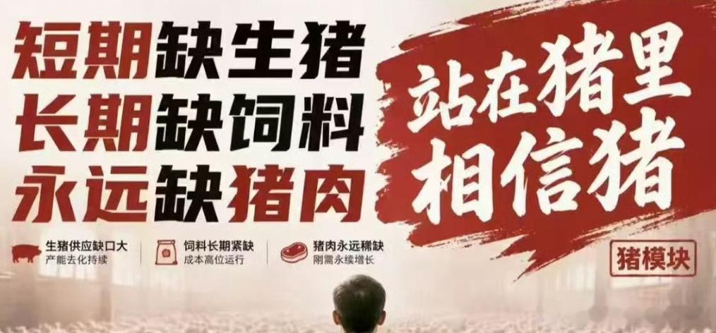 相信猪，成为猪！ 