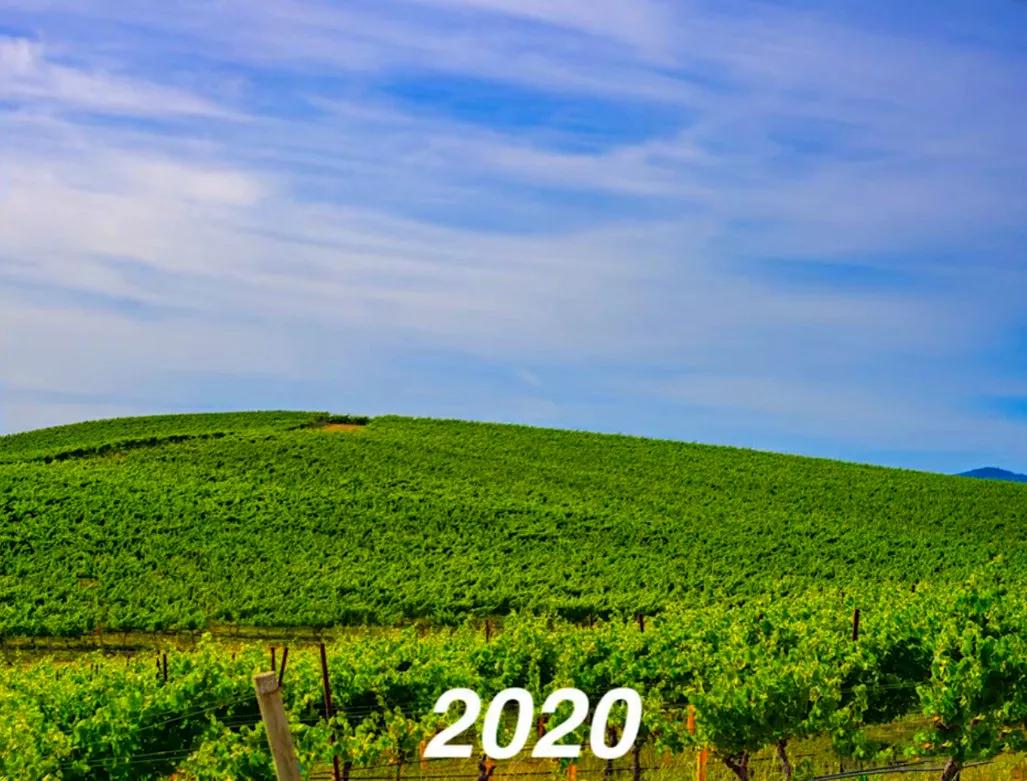 这一山的葡萄都没有24年前的一张照片值钱！

1996年，美国摄影师查尔斯.奥利