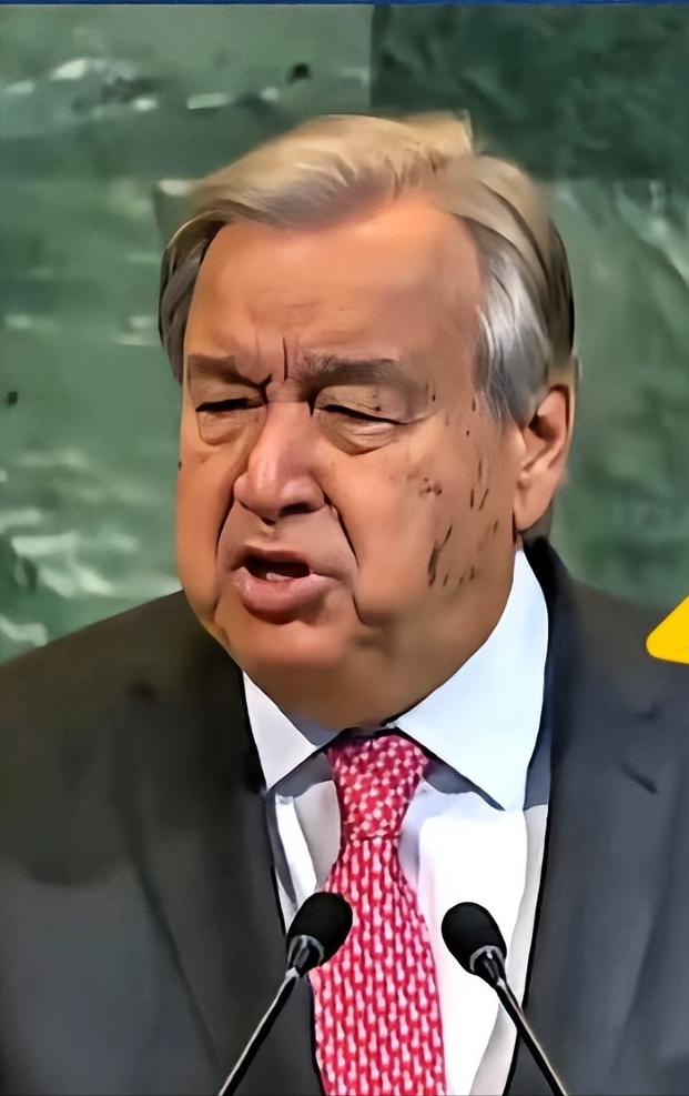 联合国秘书长在纽约联合国总部举行的记者会上，宣布了对中日东海油气田开发争议不表态