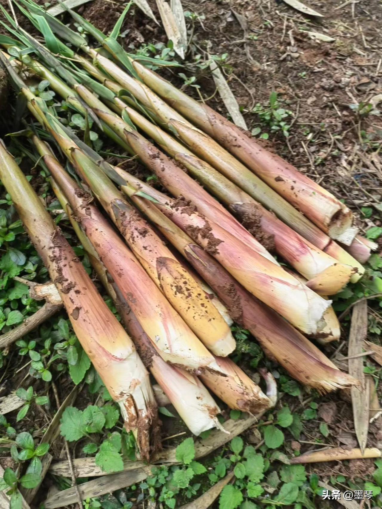[哈欠]好好活下去，每天都会有新的打击[灵光一闪]没有什么困难是不困难的[呲牙]