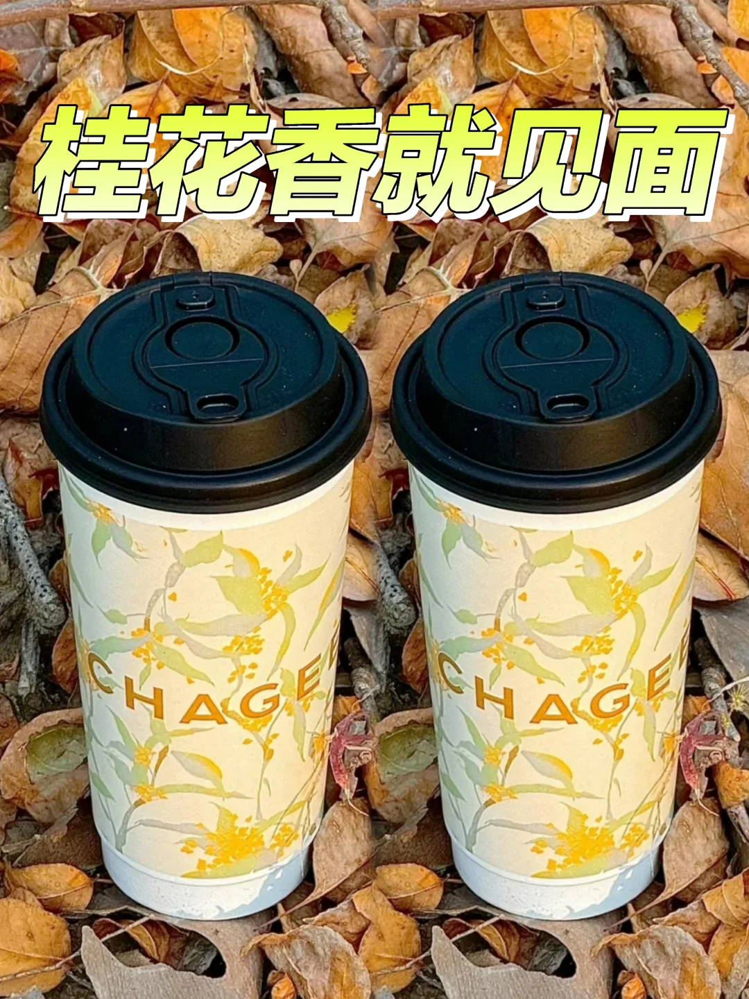 那桂花香就见面吧？