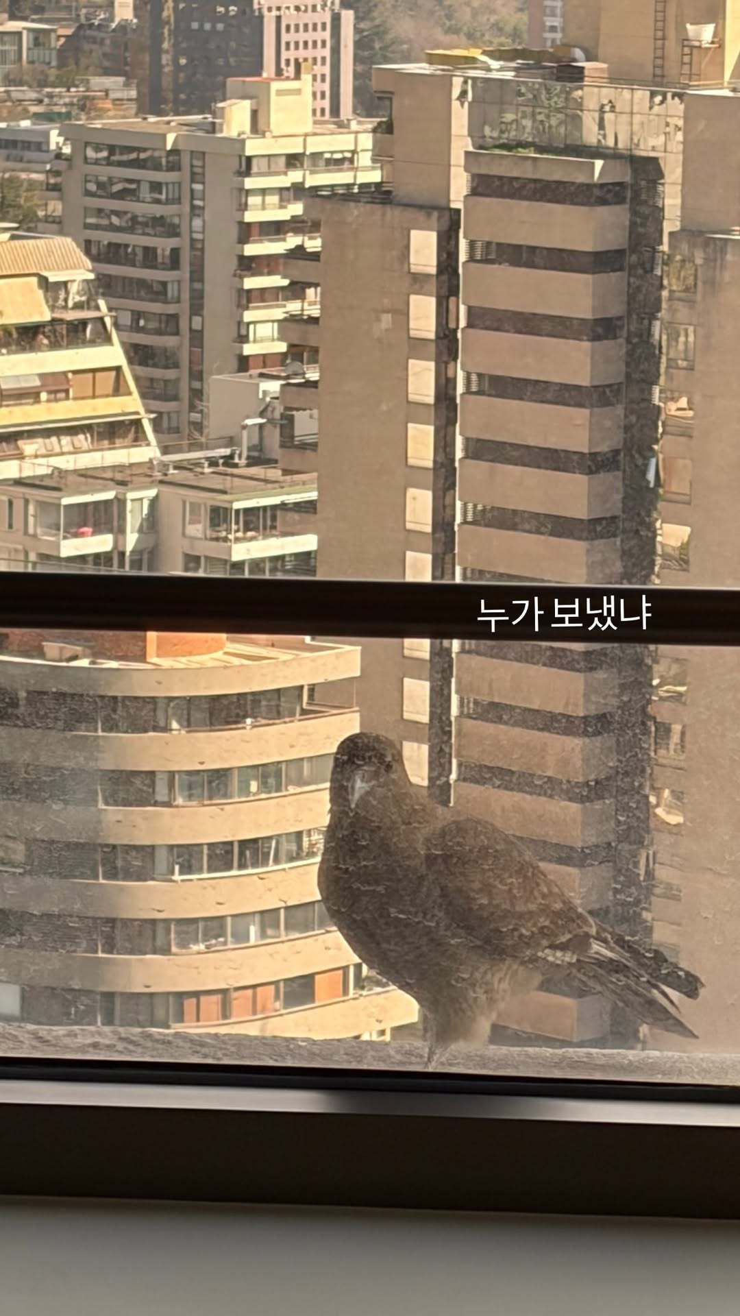 260908 imwinter IG Story「谁派你过来的」 ​​​
