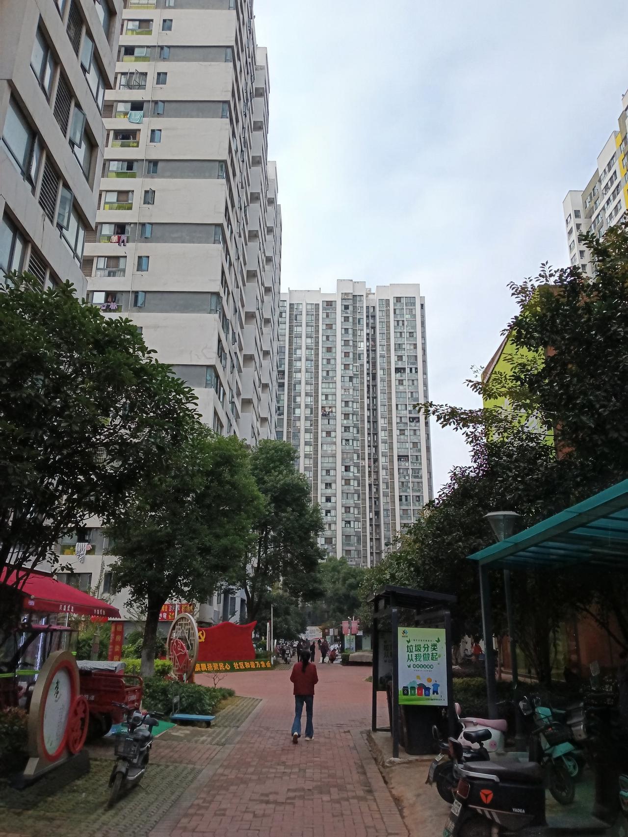 今天的天气蛮好的
出去散散步，逛逛街
一个人走在路上还是有点无聊的[流泪][流泪