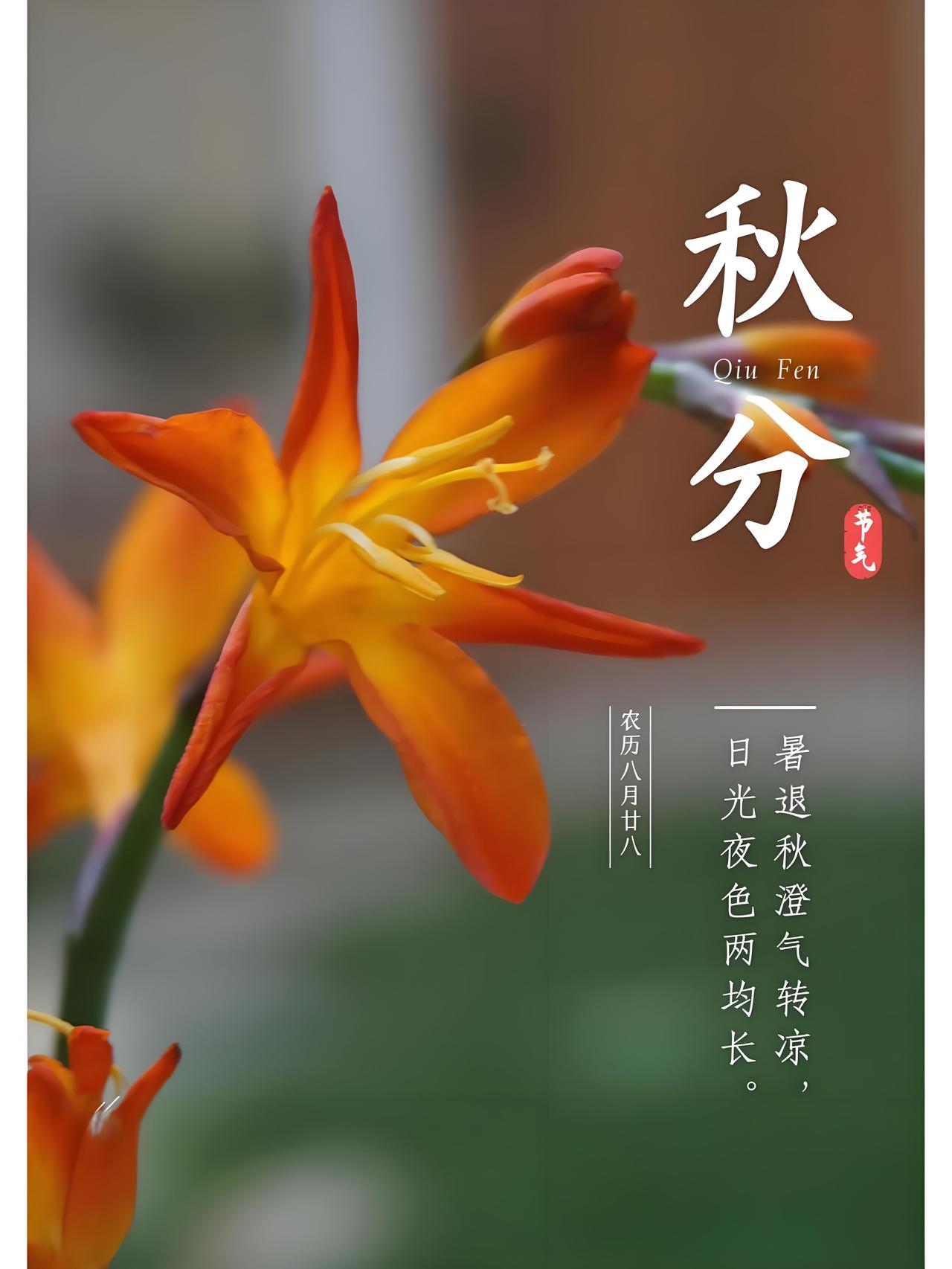 今年的秋分节气不一般，属于民间所说的“早秋分”。
传统上，人们常以“酉时”（即下