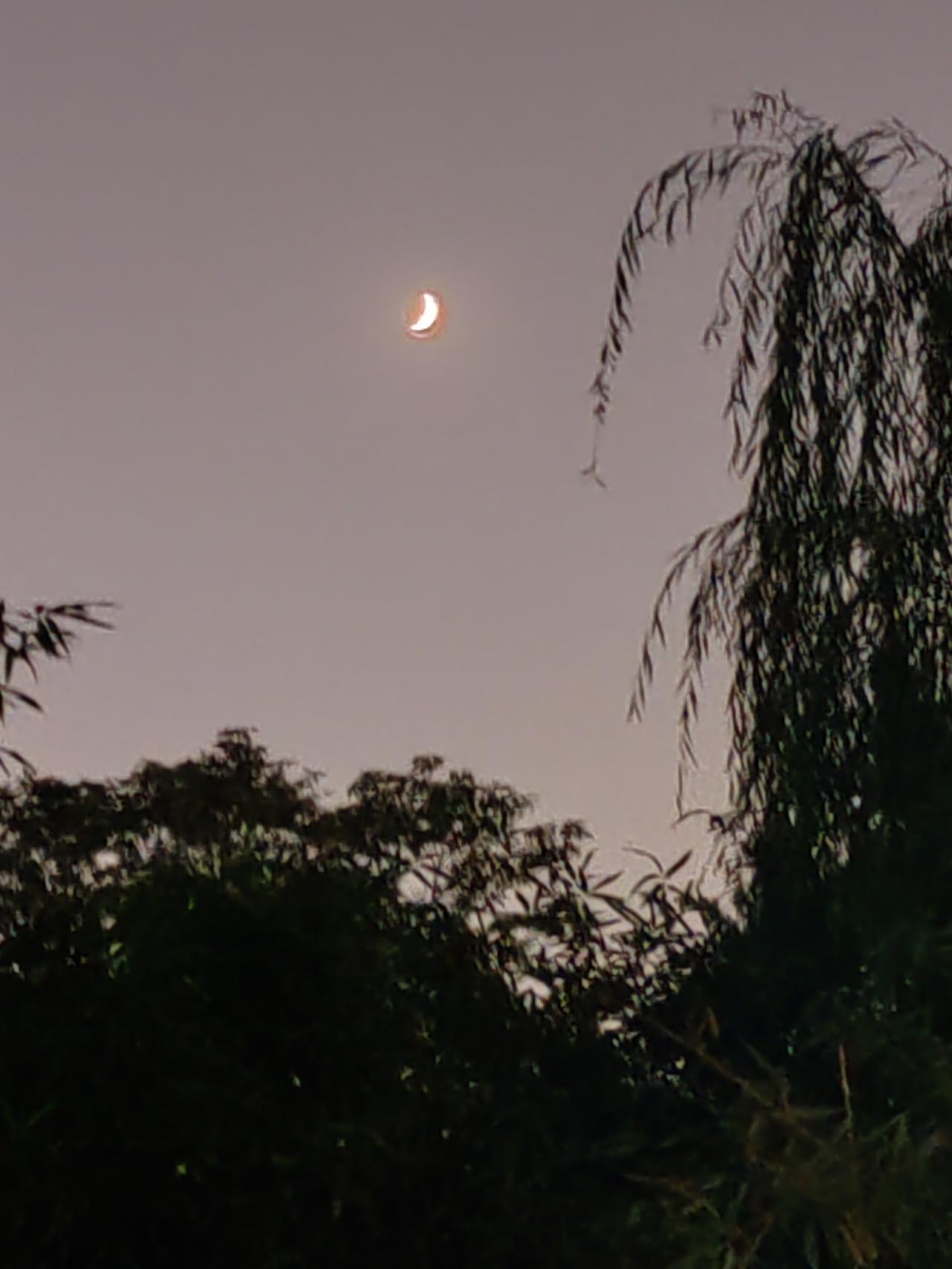 下联：地上无风不起尘，诚邀下联心中有怨必生恨