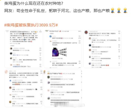 柴鸡蛋 种地 不是...她不是写小说的吗？怎么就要种地了？是真的暗语吗？找她要种