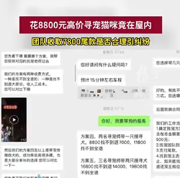 女子花8800寻猫，猫没丢退款却遭拒，高价寻宠竟藏霸王条款
上海陈女士最近太闹心