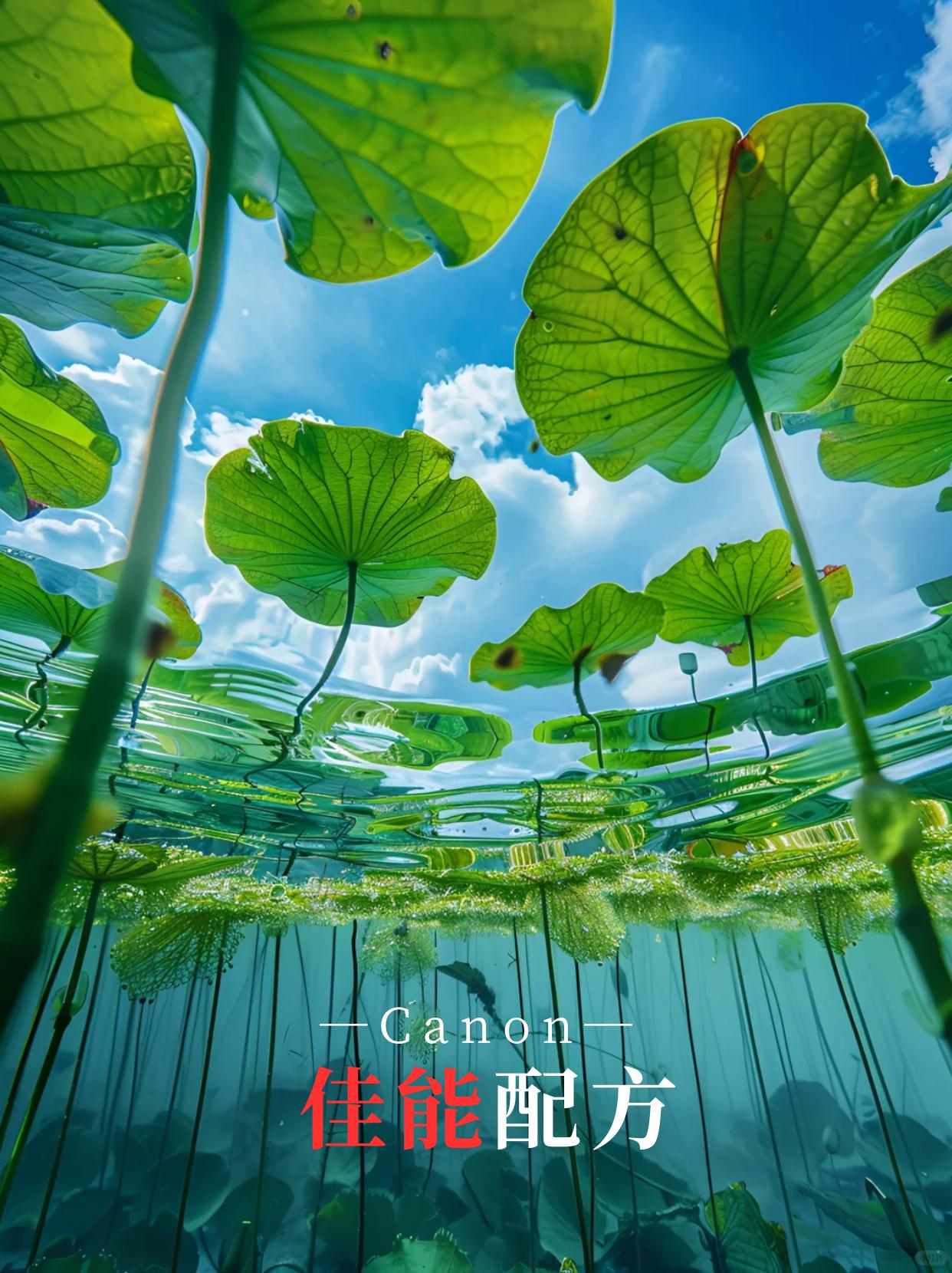 佳能用户都给我学，我不允许你不会调参数！具体内容都在图上，今天的分享就...