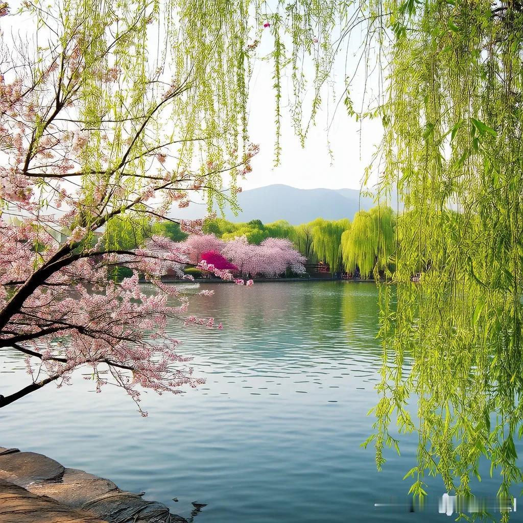 有没有漂亮的花朵图片吗人面不知何处去，桃花依旧笑春风！美丽的西湖，人间仙境！