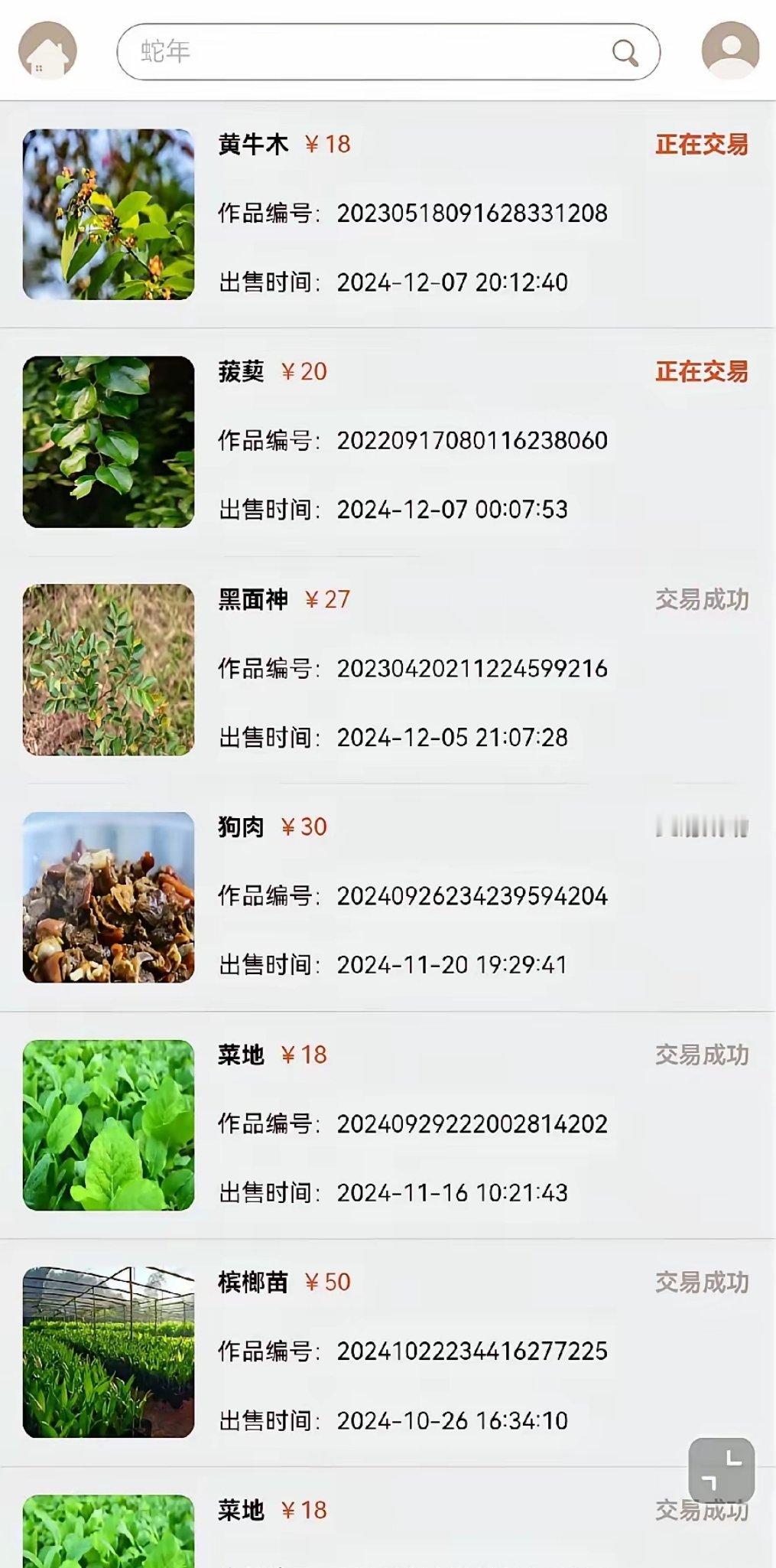 网友：视觉中国上传照片赚钱，狗肉我绷不住了。感觉都是随手拍诶。 