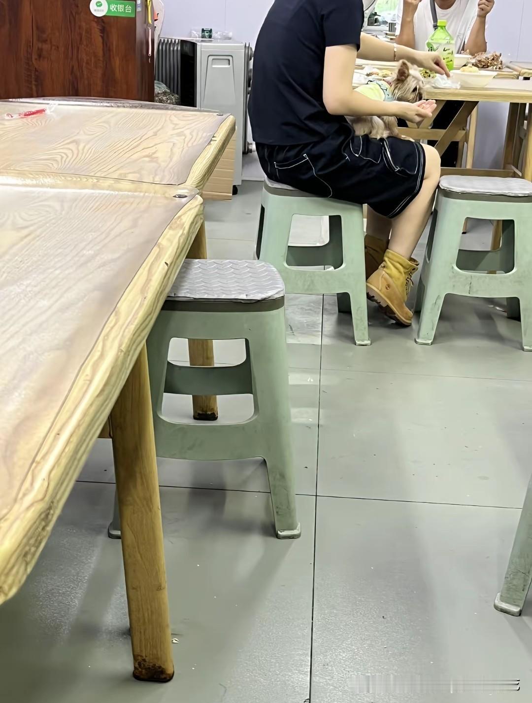 又是狗进店，这是吉林长春的网友在红房子盒饭拍到的一幕，据说还是一个网红餐厅，生意