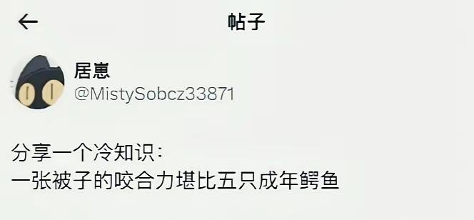冬天早上被子的咬合力更强。不下十回决心还真的挣脱不了！对鳄鱼🐊我是想一网打尽，