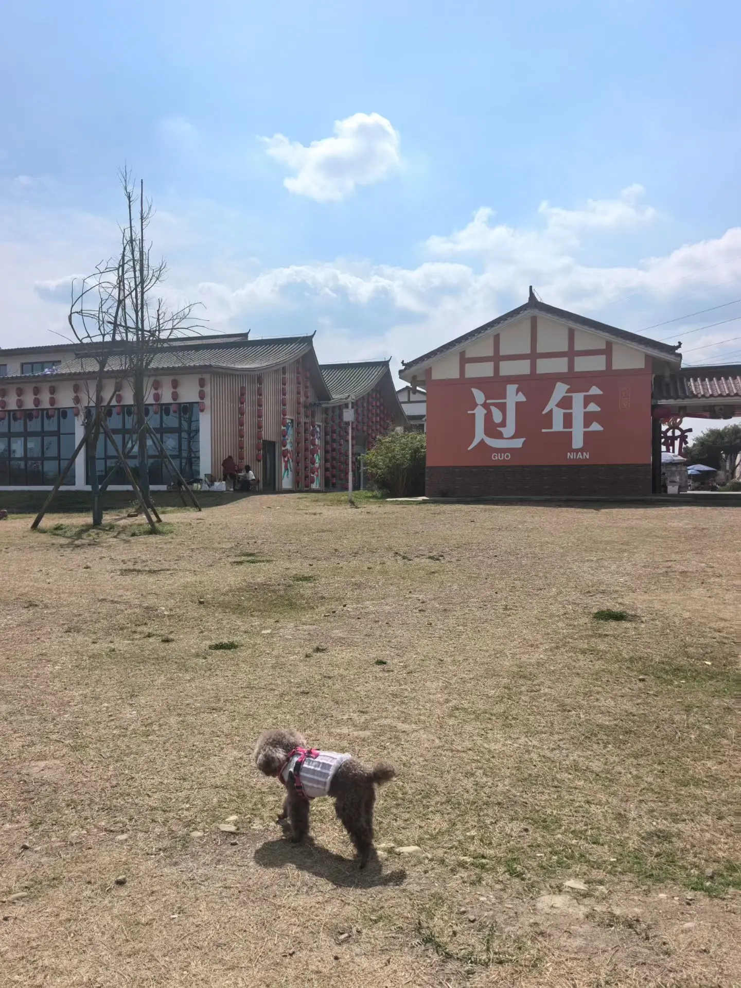 自由的心