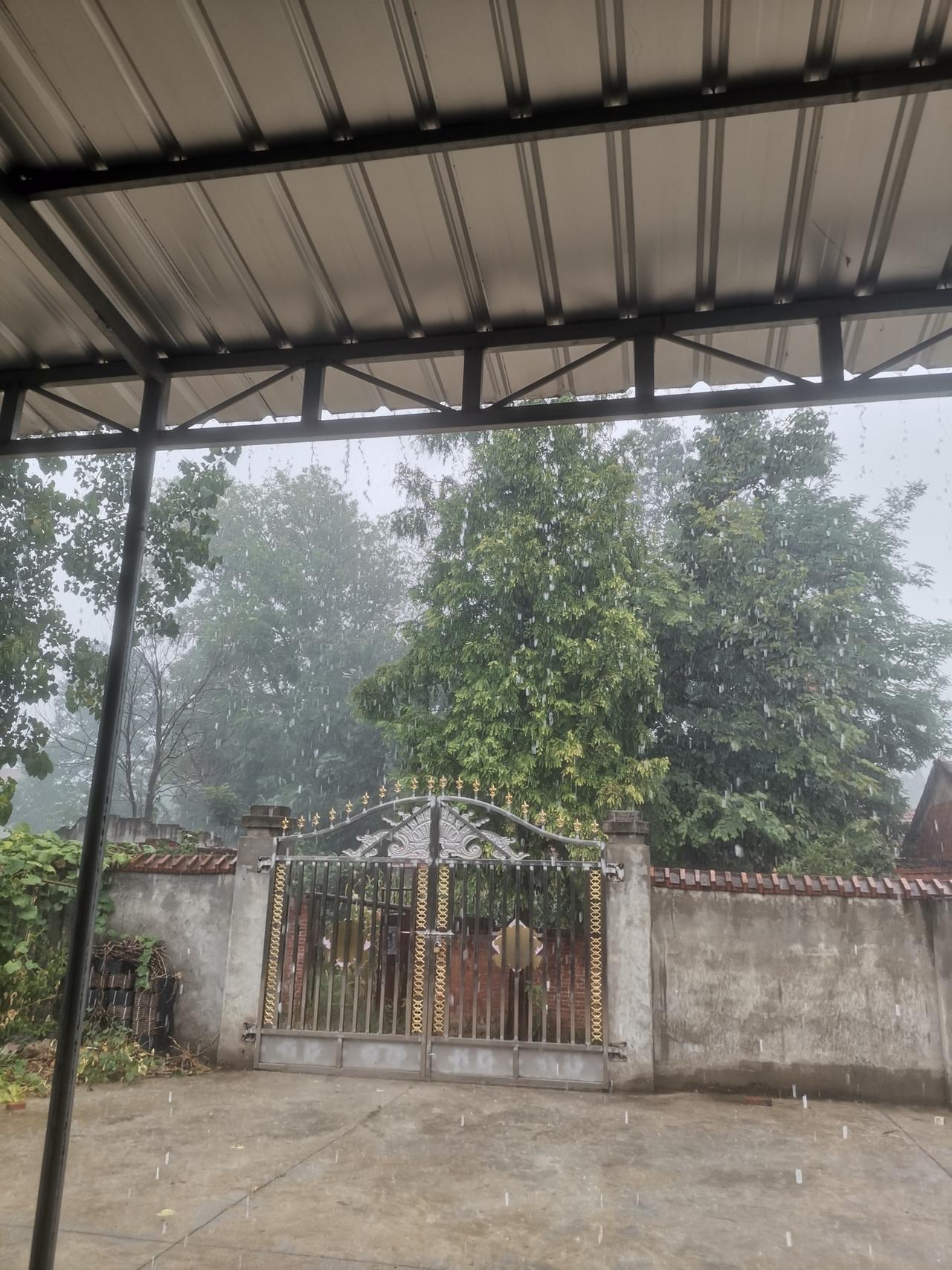 下雨真凉快，希望雨不要停下来，一直一直的下。
这段时间，我们这里太热一了，天天三