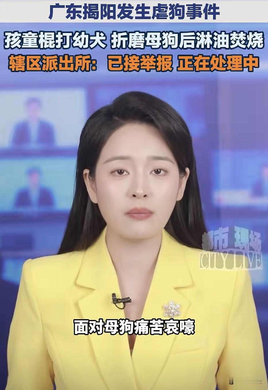 广东揭阳，因残忍虐待狗狗致死的四名少年，已被送入专门学校进行教育！这四人均未满1