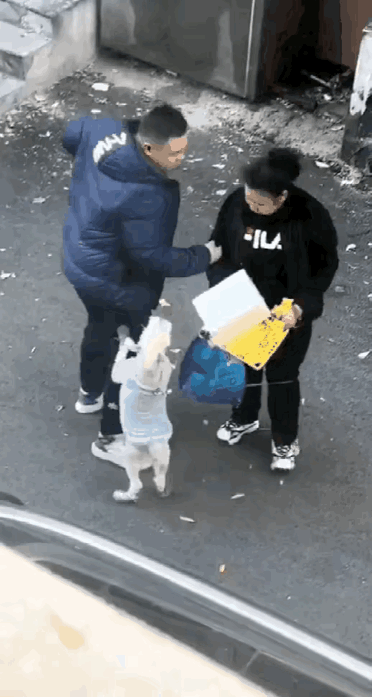 街上一位年轻男士给中年女士后背一拳，拽住她的衣服大声嚷嚷，但女人带出来的爱犬不干